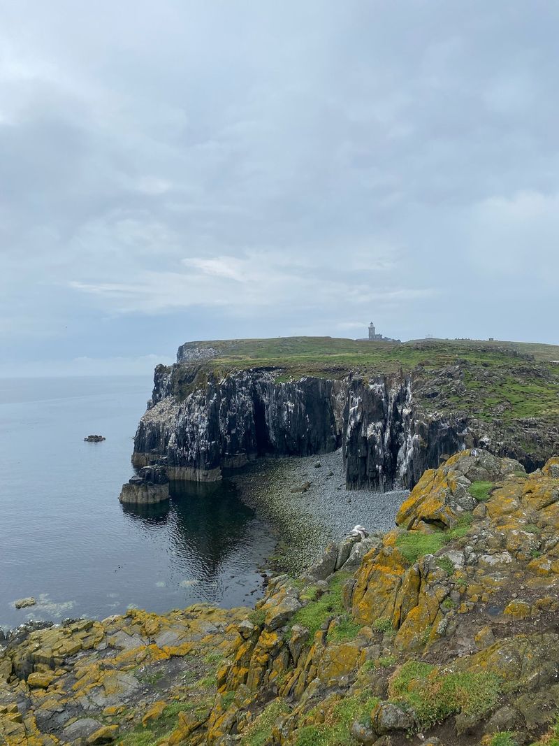 Puffins on the cliffs of the Isle of May